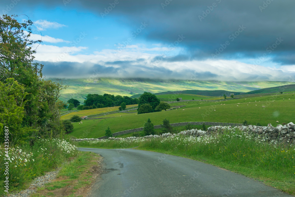 Fototapeta premium landscape with road