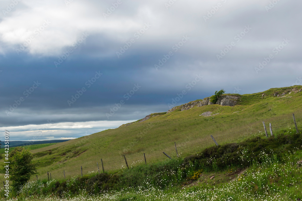 landscape with sky landscape with sky