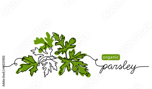 Parsley sprig, branch vector illustration, background, label design. One continuous line drawing art illustration with lettering organic parsley