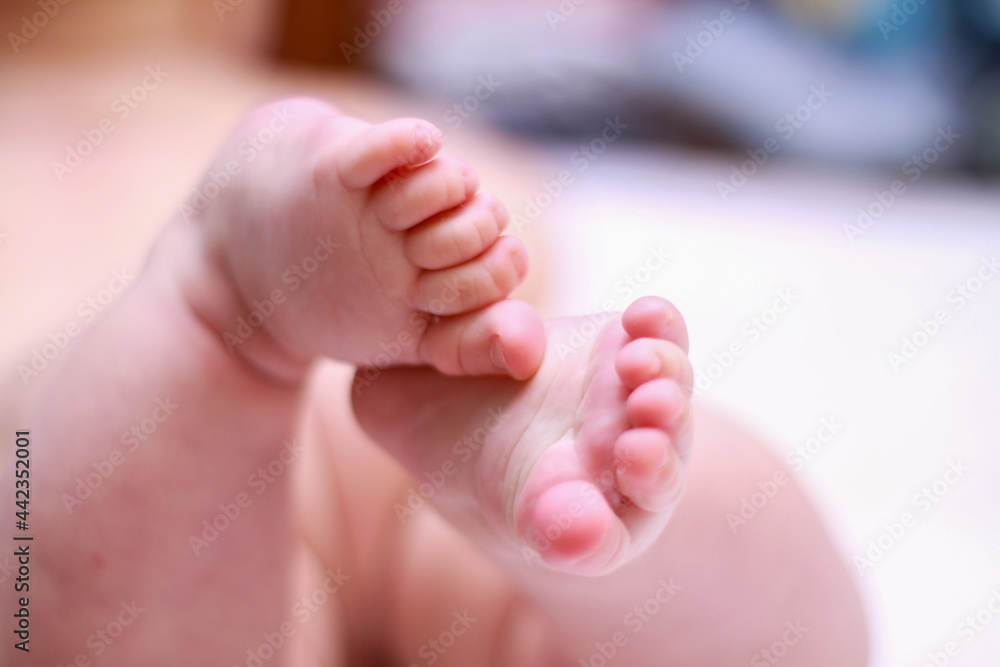 face of a little newborn boy close-up cheeks round face face of a little newborn boy close-up cheeks round face
