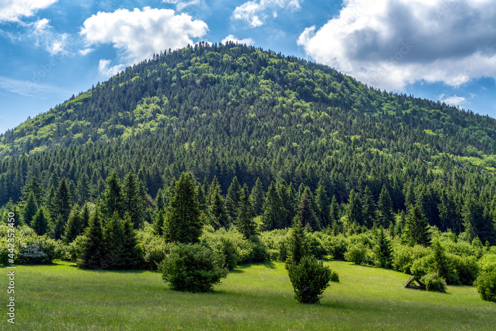 Hill Cebrat in Slovakia