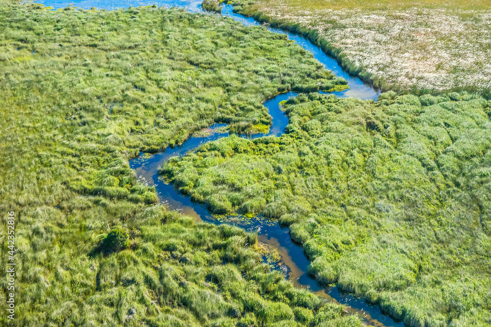 Aerial view of a small stream and lush green wetland in Okavango delta, Botswana.