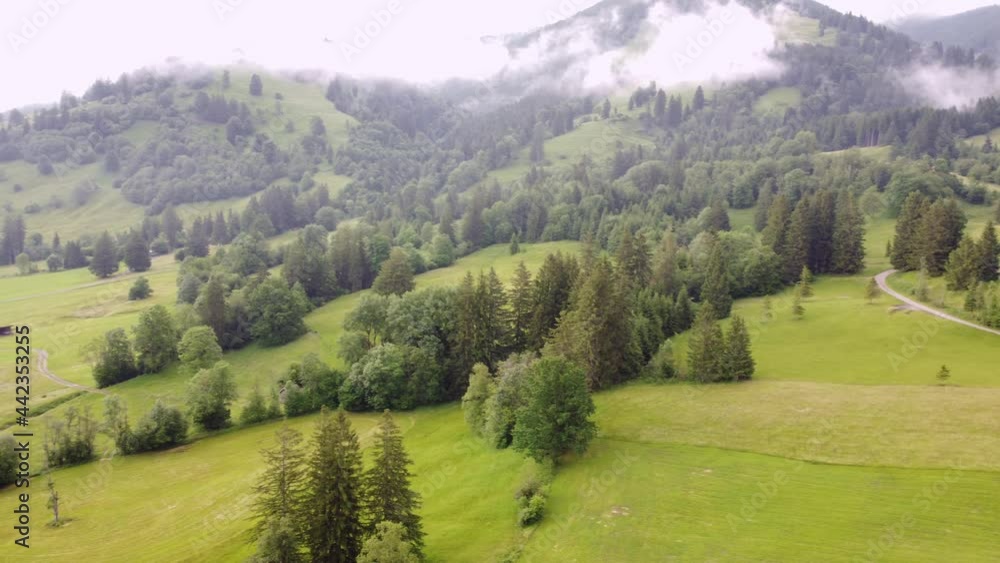Almwiesen in den Ammergauer Alpen, Drohnenaufnahme Almwiesen in den Ammergauer Alpen, Drohnenaufnahme