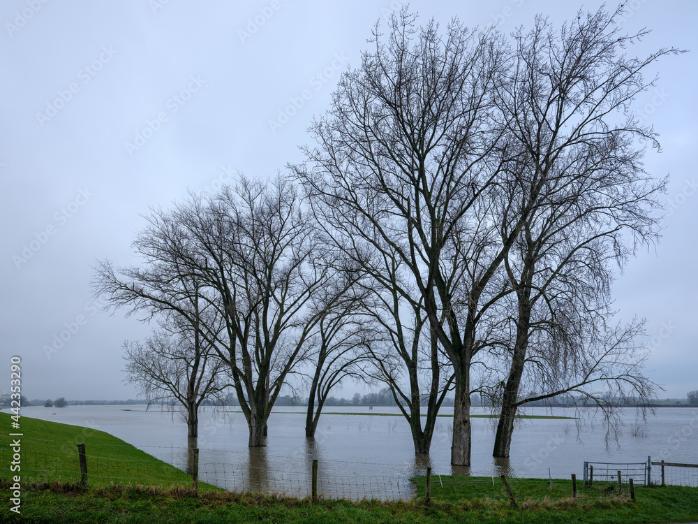 Obraz premium Hoogwater op de rivier De Lek gezien vanaf de Lekbandijk bij Ravenswaaij