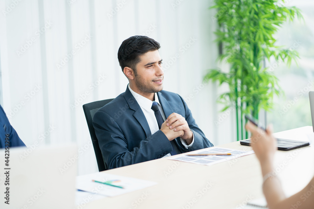 portrait of businessman discussing a project at meeting room. portrait of businessman discussing a project at meeting room.