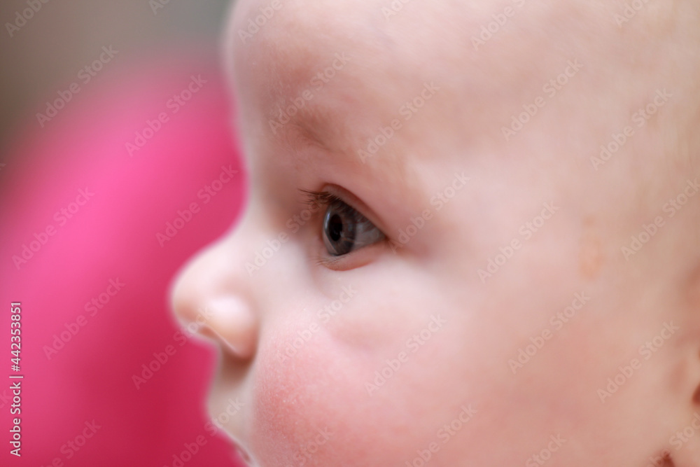face of a little newborn boy close-up cheeks round face face of a little newborn boy close-up cheeks round face