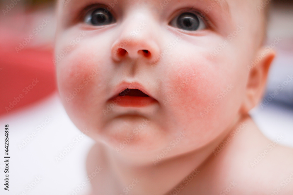 face of a little newborn boy close-up cheeks round face face of a little newborn boy close-up cheeks round face