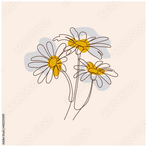 one line drawing of daisies color