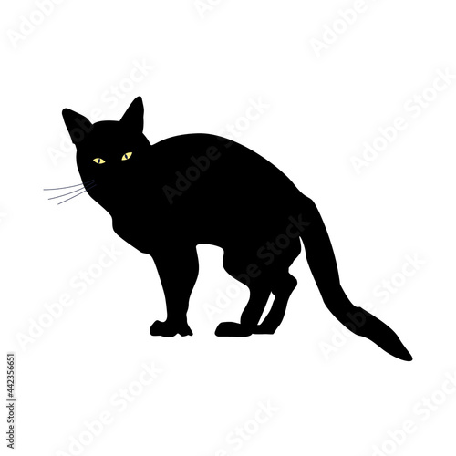 Silhouette of Black evil Cat with yellow eyes. Vector illustration of Scary pet on white isolated background. Design for Halloween