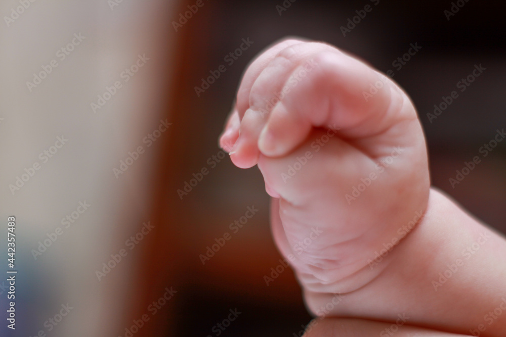 Obraz premium hand of a newborn baby close up. folds baby hand