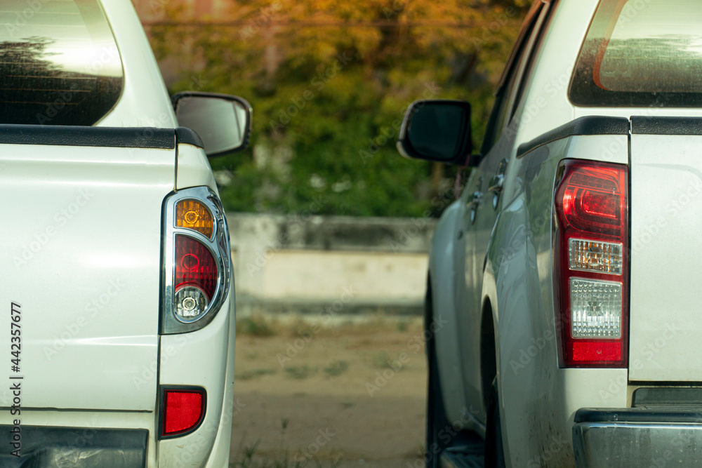 Rear side of two white pick-up car parking on the beside of soil road. Day time and bakcground blurred of green trees.