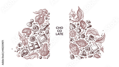 Chocolate and cocoa template. Vector bean, powder