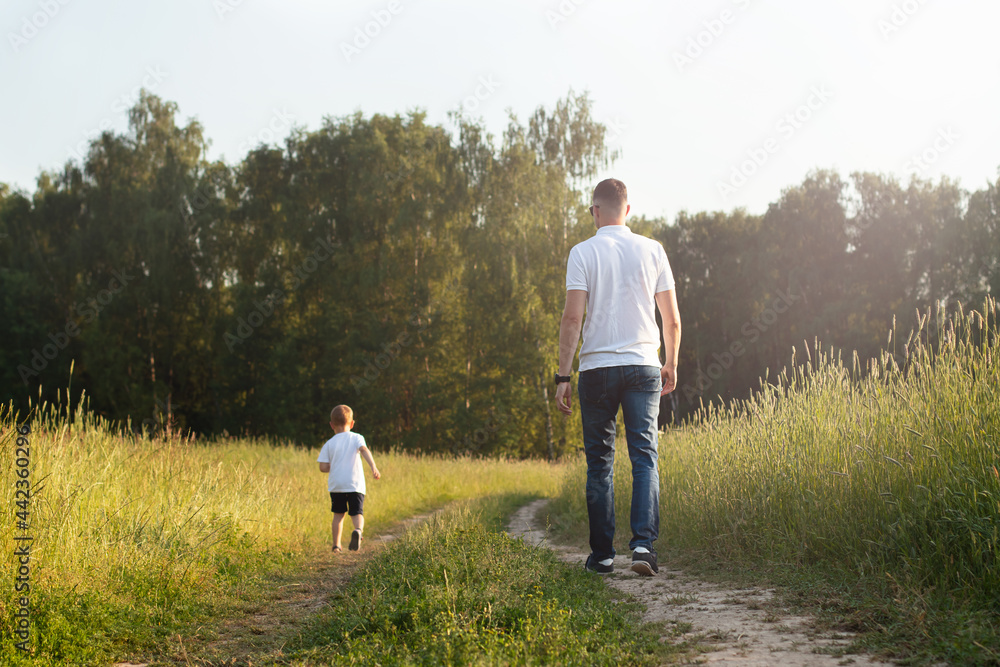 Father and son are walking along the path in the field, from the back. Happy family concept