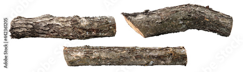 Sawed apple tree logs in three perspectives, covered with bark with lichen and a little moss, isolated on a clean white background.