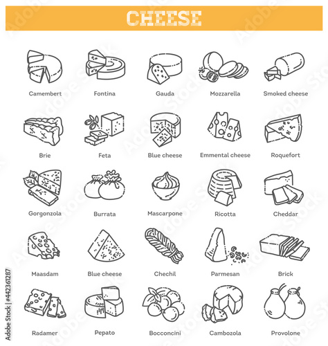 Cheese collection. Vector illustration of cheese types