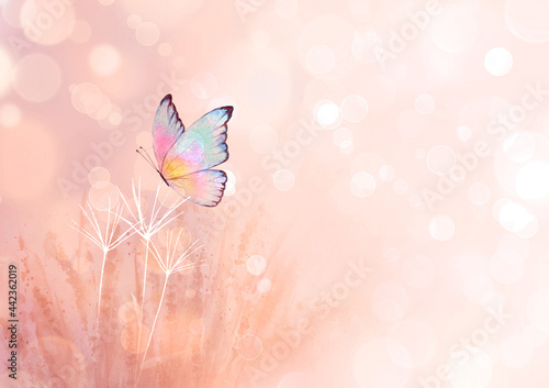 Meadow wild flowers, herbs,...
