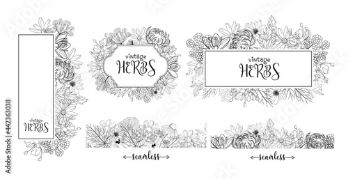 Template card with medicinal herbs. vector template. Wild medicinal plants. Retro flowers. Hand drawing illustration. Engraving style. Botanical illustration. Pharmacy herbs labels. Fresh local organ