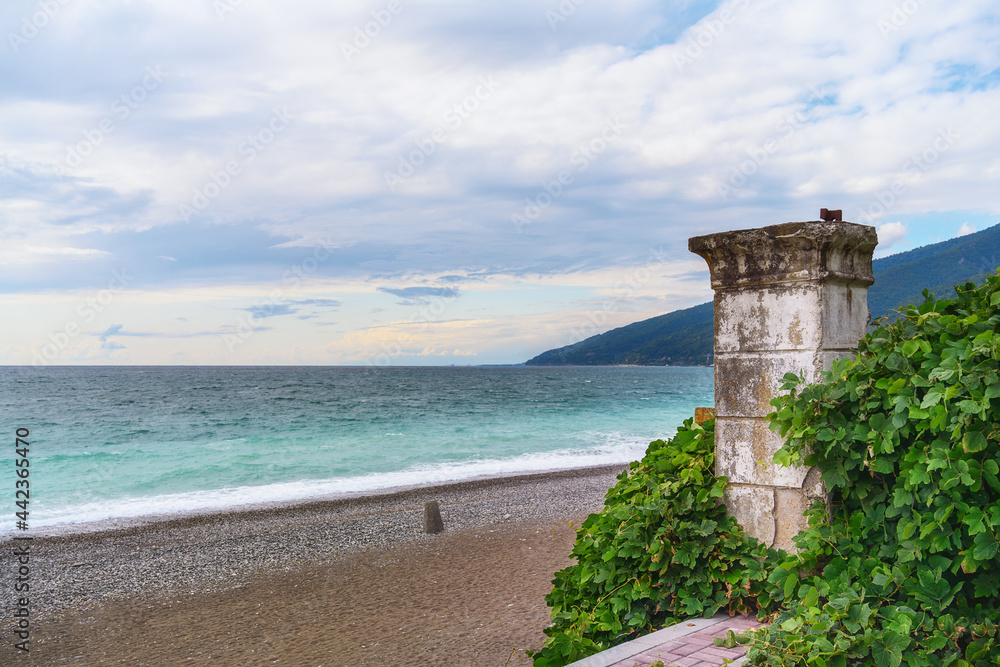 View of the sea coast on a summer evening. Sea to horizon from white to dark turquoise. Cloudy sky with evening colors. In the foreground is a climbing plant on a side brick pipe. Gagra (Abkhazia) View of the sea coast on a summer evening. Sea to horizon from white to dark turquoise. Cloudy sky with evening colors. In the foreground is a climbing plant on a side brick pipe. Gagra (Abkhazia)
