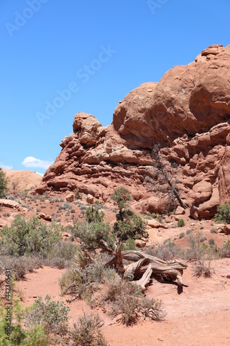 A Rock Formation in Arches National Park