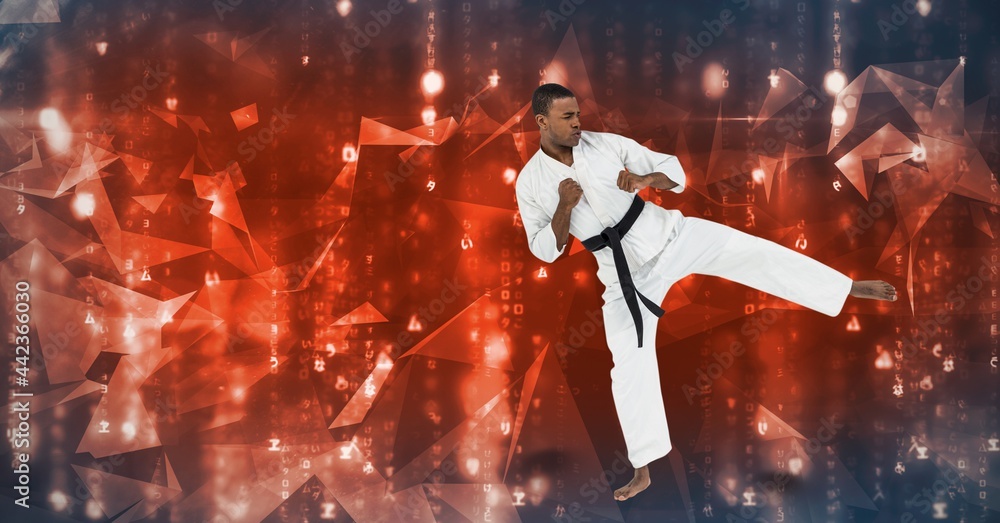 African american male martial artist with black belt against plexus networks on blue background