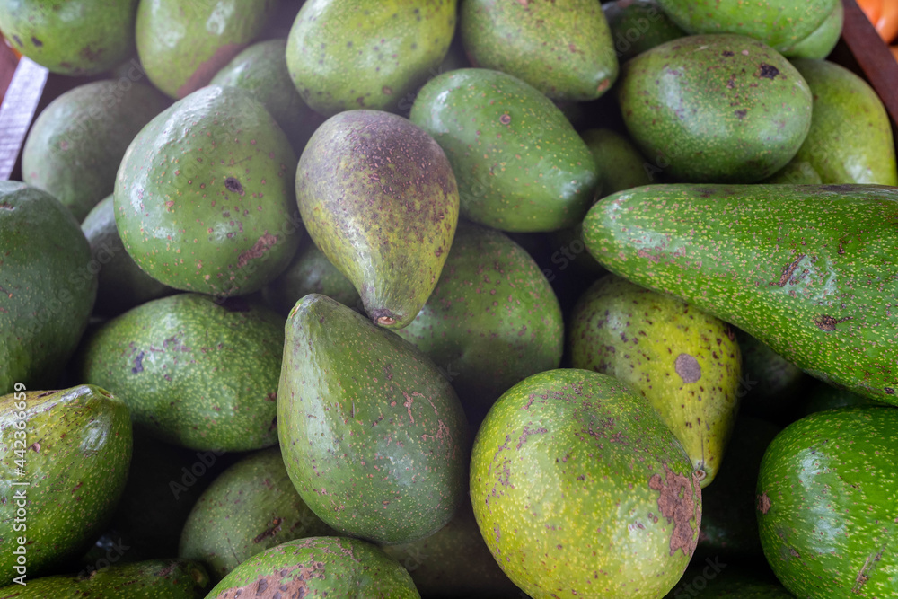 Pile of delicious hass avocados to sell. Pile of delicious hass avocados to sell.