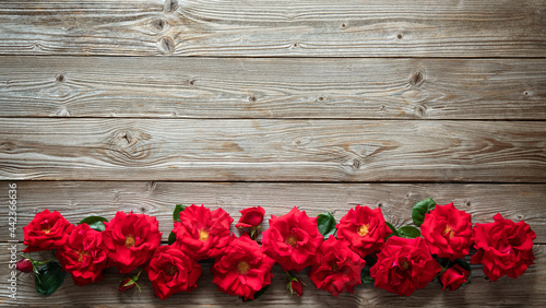 Red roses on rustic wooden board