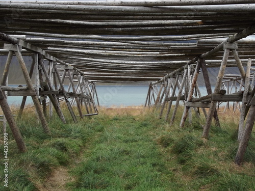 a drying rack for stockfish in island