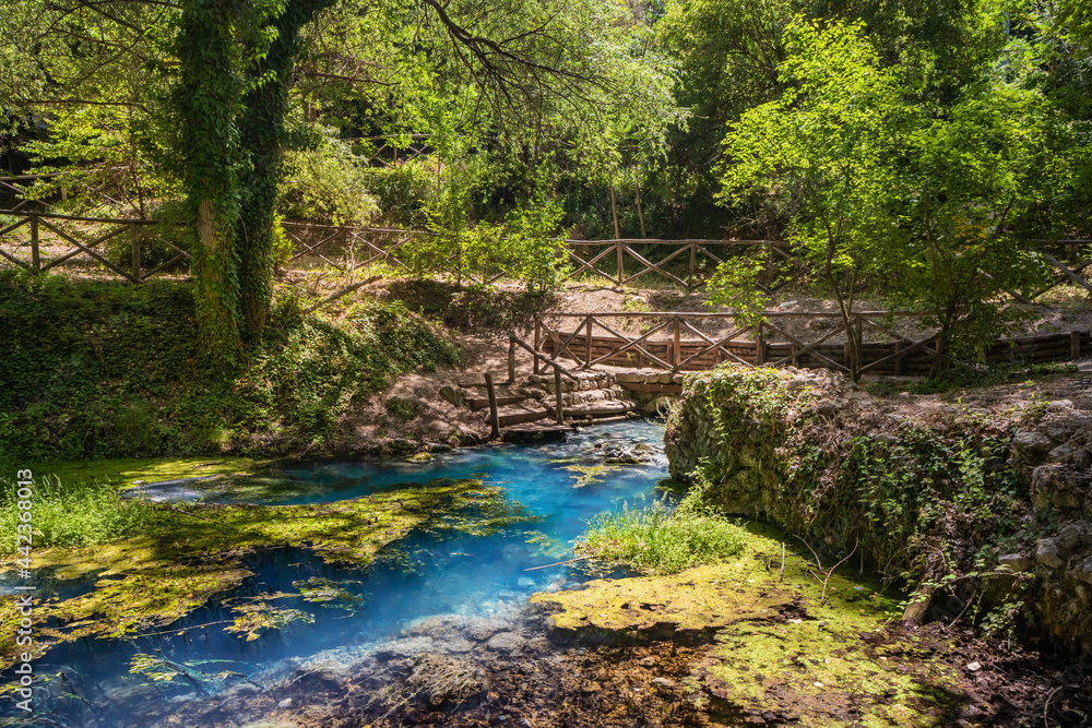 The sulfur springs of Raiano, immersed in a forest and uncontaminated nature, in Abruzzo, Italy. Peace, relaxation, silence, health and well-being. Remains of ancient walls covered with vegetation. The sulfur springs of Raiano, immersed in a forest and uncontaminated nature, in Abruzzo, Italy. Peace, relaxation, silence, health and well-being. Remains of ancient walls covered with vegetation.