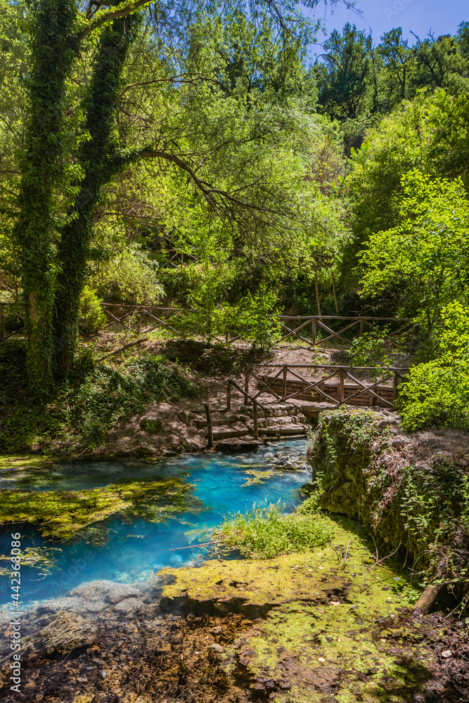 The sulfur springs of Raiano, immersed in a forest and uncontaminated nature, in Abruzzo, Italy. Peace, relaxation, silence, health and well-being. Remains of ancient walls covered with vegetation. The sulfur springs of Raiano, immersed in a forest and uncontaminated nature, in Abruzzo, Italy. Peace, relaxation, silence, health and well-being. Remains of ancient walls covered with vegetation.