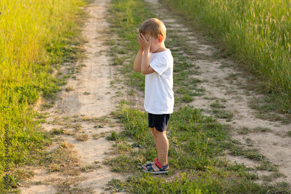 Little boy stands on the path in the field and covered his face with his hands. He plays hide and seek or crying Little boy stands on the path in the field and covered his face with his hands. He plays hide and seek or crying