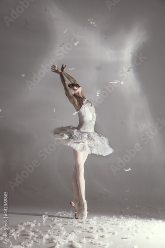 Young graceful balerina in image of white swan in art performance isolated on gray white background. photo