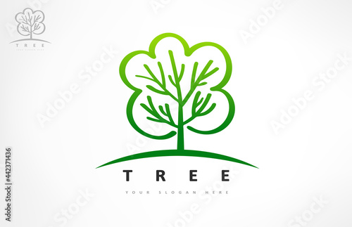 Tree logo vector. Plant Logo design vector nature illustration.