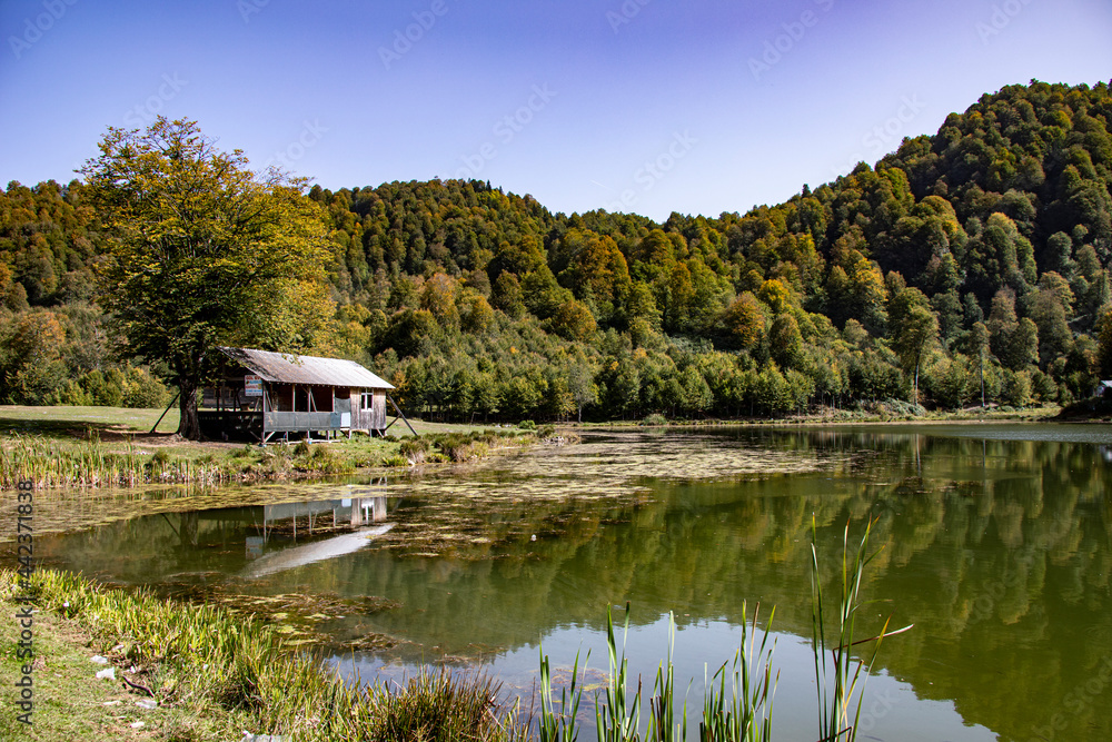 A view of a lake surrounded by trees and rich vegetation under the clear sky. Natural environments like that are very common in Turkey. There are lakes more than 120 in Turkey.