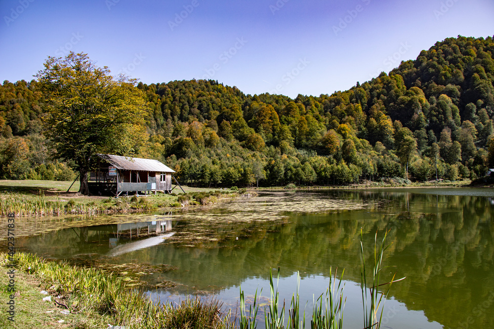Obraz premium A view of a lake surrounded by trees and rich vegetation under the clear sky. Natural environments like that are very common in Turkey. There are lakes more than 120 in Turkey.