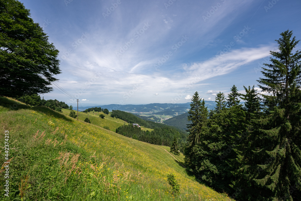 The Hinterwaldkopf one of the most popular mountains of the black forest The Hinterwaldkopf one of the most popular mountains of the black forest