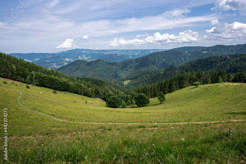The Hinterwaldkopf one of the most popular mountains of the black forest