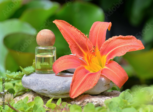essential oil bottles on a stone in a rock zen garden with orange flower
