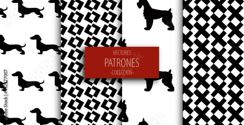 patrones blanco y negro