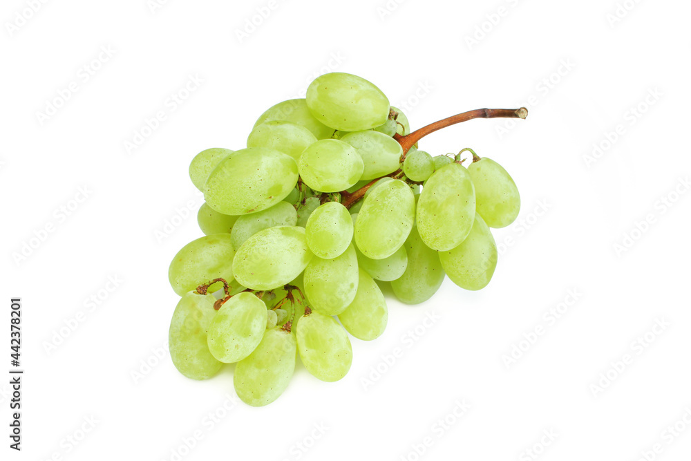 Bunch of green grapes isolated on white background. Bunch of green grapes isolated on white background.