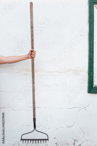 Rake in a woman's hand. Girl holding garden equipment in hands on white background © Евгения Трастандецка