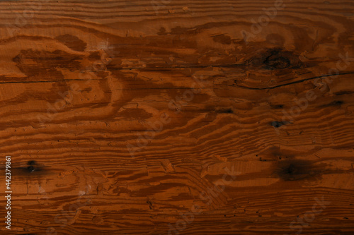 old wooden plank texture