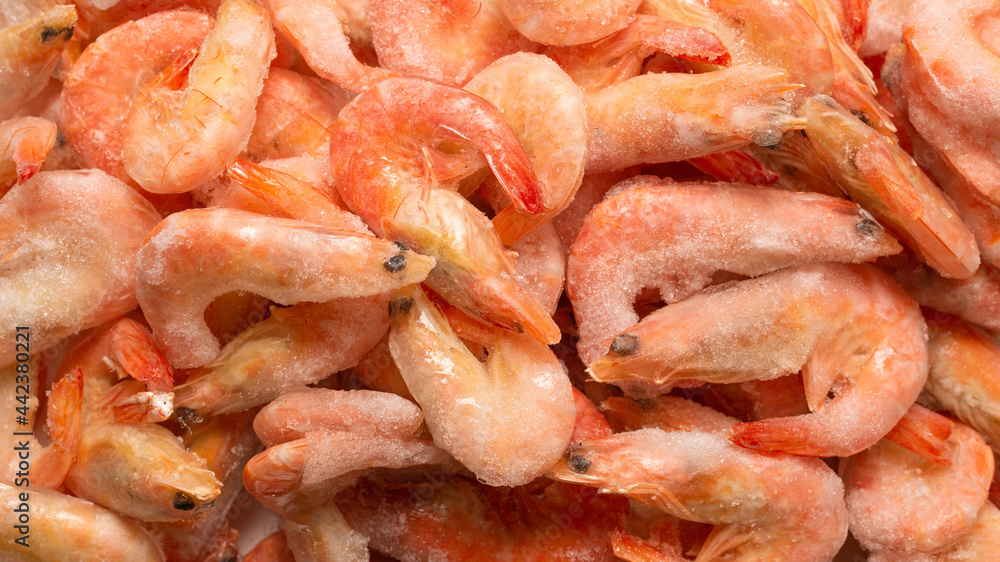 Fresh shrimps in ice. Top view.