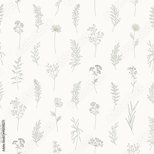 Seamless pattern with wildflowers. Floral vector illustration. Meadow herbs and flowers. Elegant botanical print in thin line, modern style design. Nature background for fabric, package, wrapping.