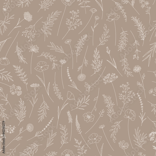 Seamless pattern with wildflowers. Meadow herbs and flowers. Floral vector illustration. Elegant botanical print in thin line, modern style design. Nature background for fabric, package, wrapping.