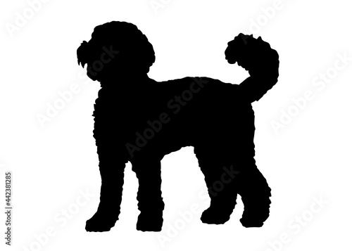 Labradoodle dog silhouette, Vector illustration silhouette of a dog on a white background.