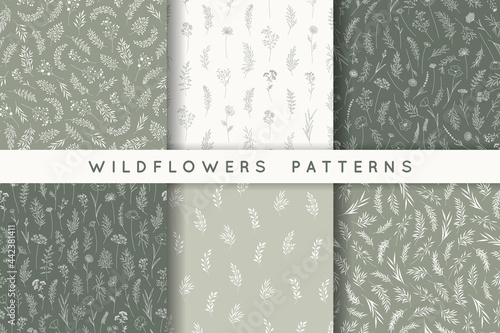Set of seamless patterns with leaves, herbs, wildflowers. Silhouettes of branches, natural hand drawn eco friendly backgrounds. Vector illustration in modern style, fashion prints for fabric, wrapping