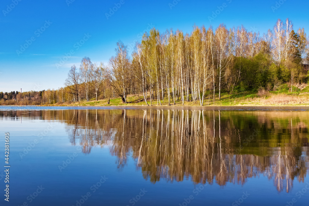Beautiful spring landscape. Reflection of the blue cloudless sky and trees in the calm water of a forest lake