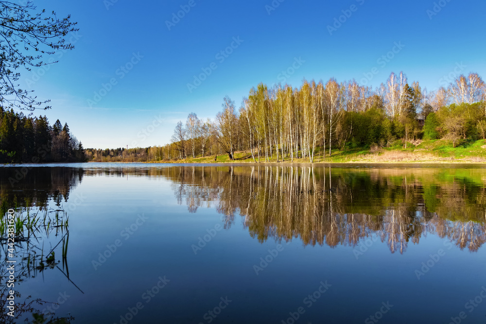 Beautiful spring landscape. Reflection of the blue cloudless sky and trees in the calm water of a forest lake