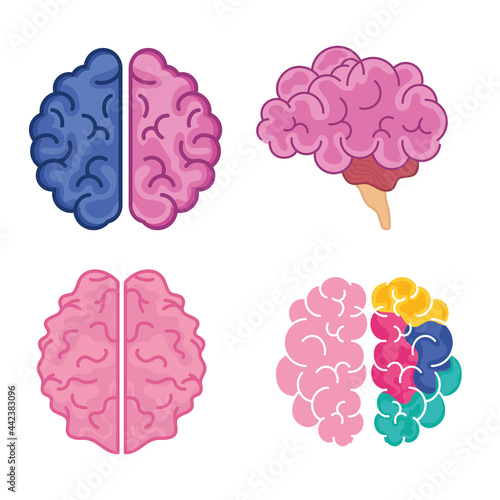 brains icon set