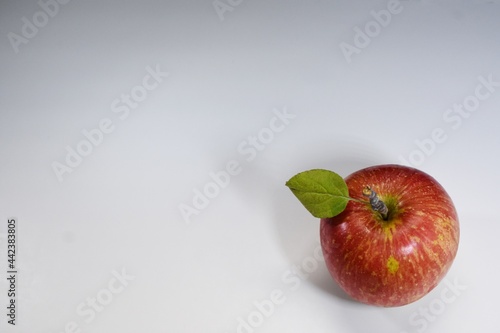red apple with white background 